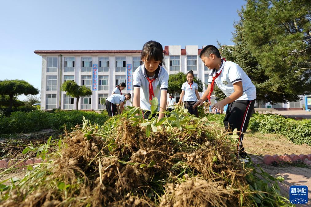 注册送388试玩金可提现
